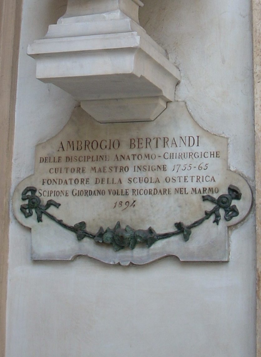 Ambrogio%20Bertrandi%20s%20bust%2C%20University%20of%20Turin%20central%20seat%2C%20Turin%20-%2003.JPG